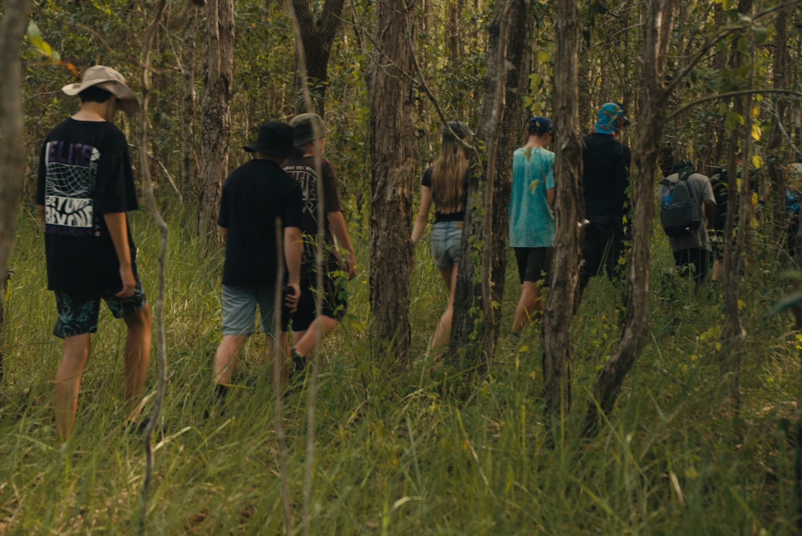 Walking in bush